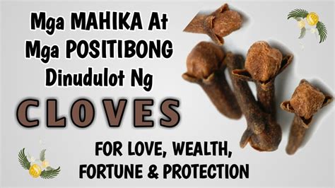 Clove in Tagalog .
